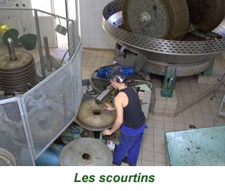 14scourtins