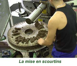 15scourtins