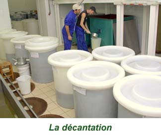 29decantation