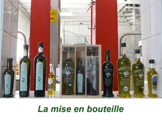31bouteille